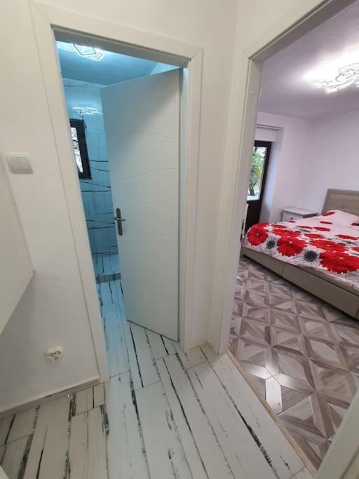 Iasi City - Central Apartment Exterior foto